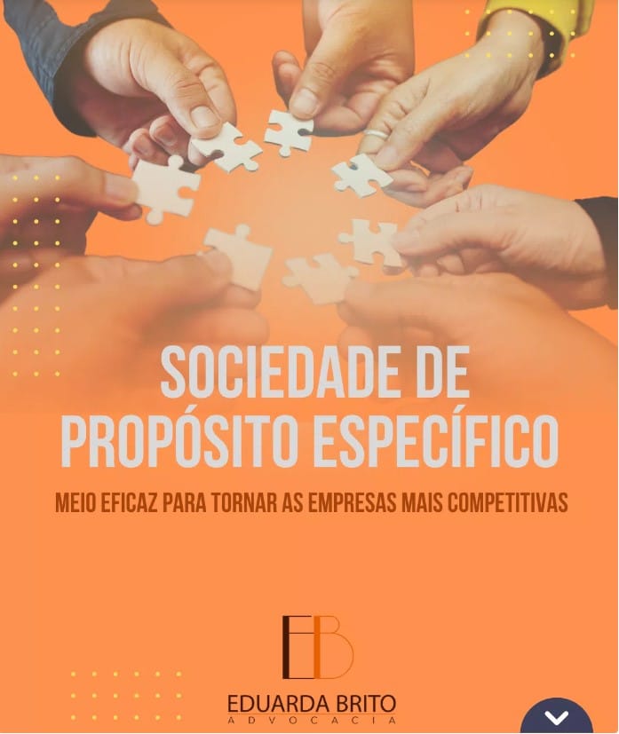 Você está visualizando atualmente O que é Sociedade de Propósito Específico (SPE) e como funciona?