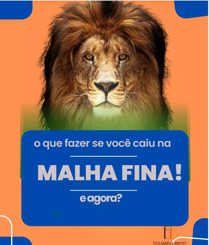 Você está visualizando atualmente Cair na Malha fina. E agora?